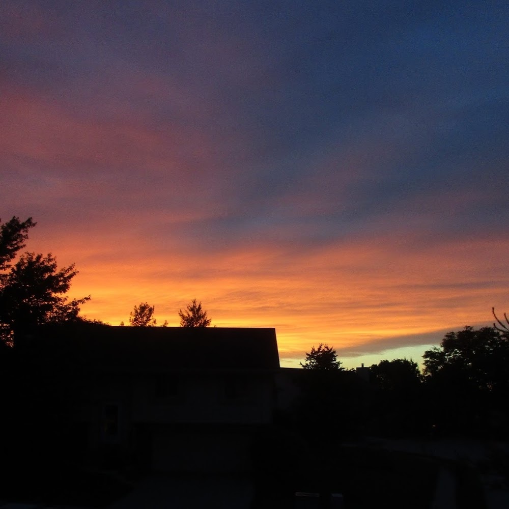 Meet your Posher, Nicki